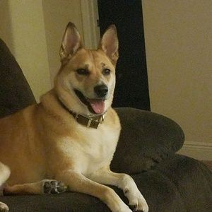 Meet your Posher, Shannon